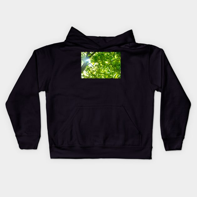 Sunlight through the leaves Kids Hoodie by geoffshoults